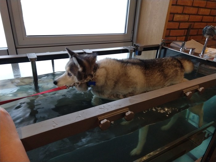 img_20190113_101554761