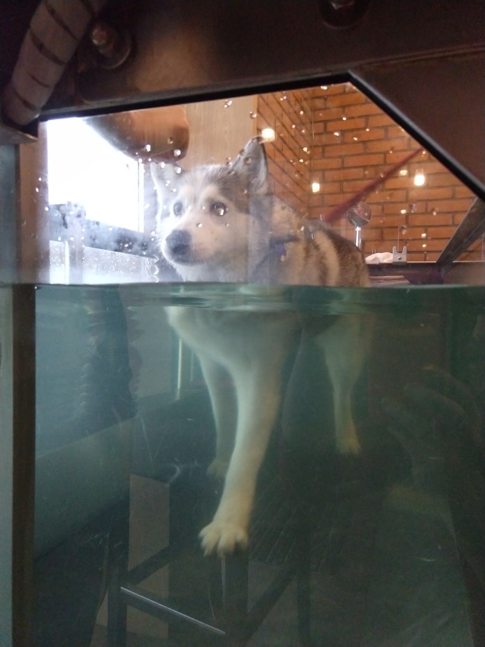 img_20190113_101617535