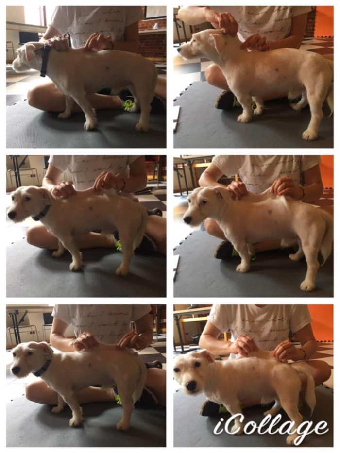 104854946_630256724500326_7026704435897768875_n