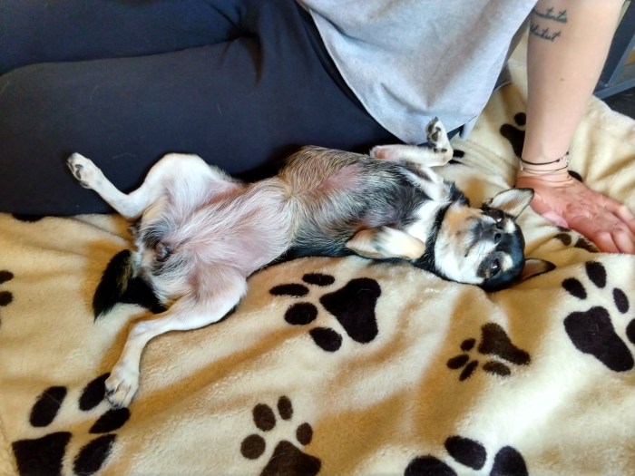 IMG_20200621_111405679_HDR